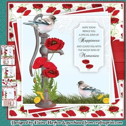 Red Poppy Water Pump Mini Kit
