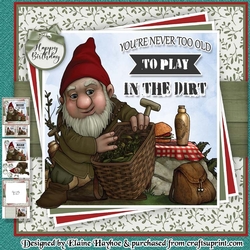 Play in the Dirt Mini Kit