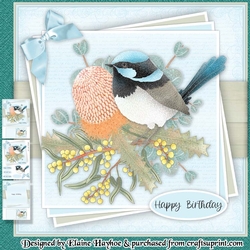 Fairy Wren Mini Kit
