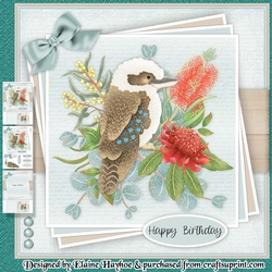 Kookaburra Mini Kit