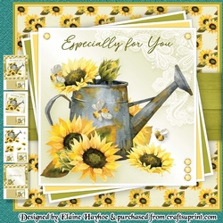 Sunny Watering Can Mini Kit