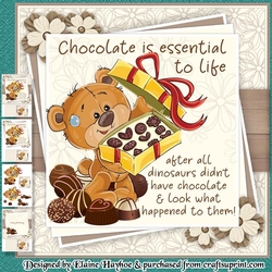 Chocolate is Essential Mini Kit