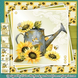 Blank Sunny Watering Can Mini Kit  (Request)