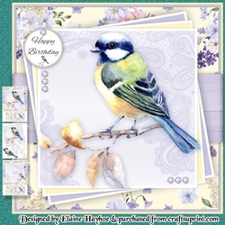 Spring Bird 1 Mini Kit