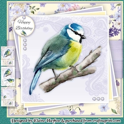 Spring Bird 2 Mini Kit