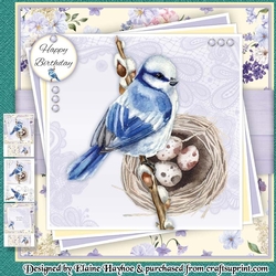 Spring Bird 3 Mini Kit