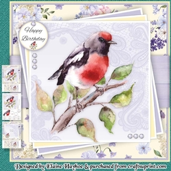 Spring Bird 4 Mini Kit