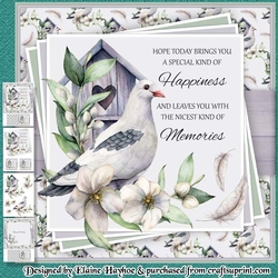 Pigeon Birthday Mini Kit
