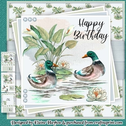 Wild Ducks Mini KIt
