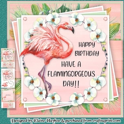 Flamingorgeous Mini Kit