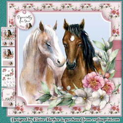 Pretty Ponies Mini Kit