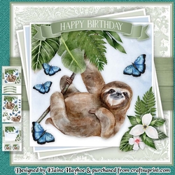 Birthday Sloth Mini Kit