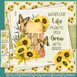 Grow With Grace Mini Kit