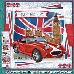 Drive the Flag Austin Healey Mini Kit