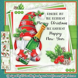 Champagne Bottle Gnome Mini Kit