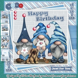 Double Denim Gnomes Birthday Mini Kit