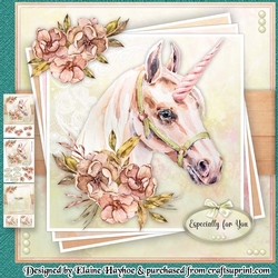 Unicorn Wishes Mini Kit