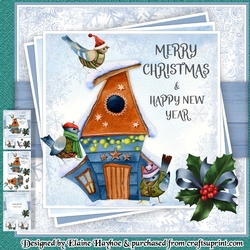 Birdhouse 2 Mini Kit
