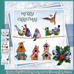 Seasons Tweetings Mini Kit
