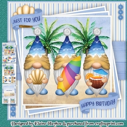 Tropical Beach Gnomes Mini Kit