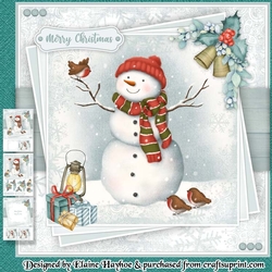 Snowman Mini Kit