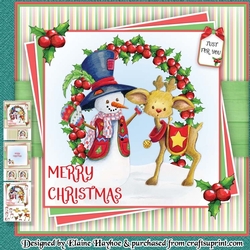 Baby Rudi and Snowman Mini Kit