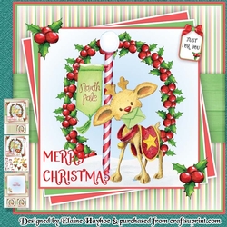 Baby Rudis Xmas Letter Mini Kit