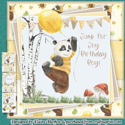 Panda With Balloon Mini Kit