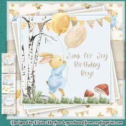 Rabbit With Balloons Mini Kit