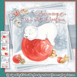 Polar Bear Dreaming Mini Kit