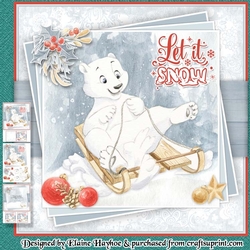 Polar Bear Sledging Mini Kit