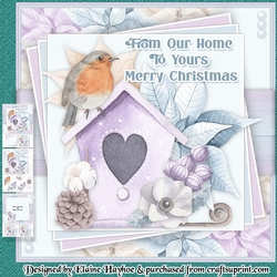Robin Birdbox Mini Kit