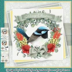 Superb Fairy Wren Mini Kit