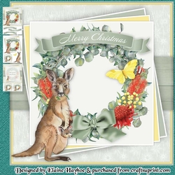 Kangaroo Mini Kit
