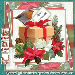 Robin Parcel Mini Kit