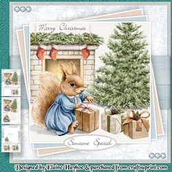 Baby Squirrel Mini Kit