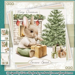 Bunny with Parcels Mini Kit