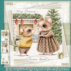 Mice with Parcels Mini Kit