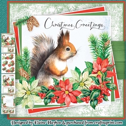 Christmas Squirrel Mini Kit