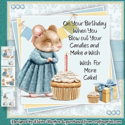 More Cake Birthday Mini Kit