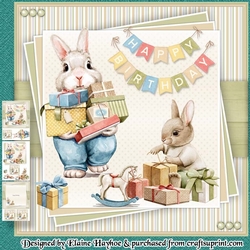 Bunny Birthday Mini Kit