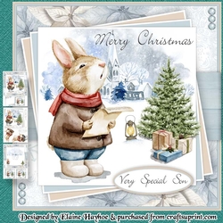 Son-Grandson Bunny Christmas Mini Kit