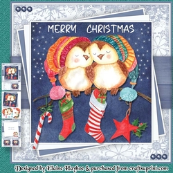 Owl Couple Christmas Mini Kit