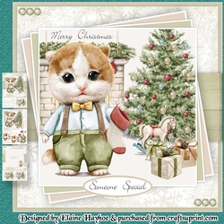 Tommy Kitten Mini Kit