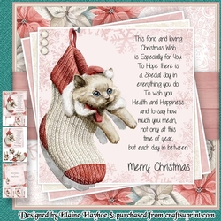 Stocking Kitten Mini Kit