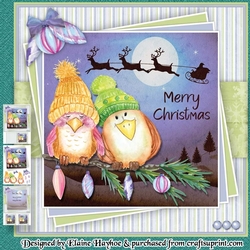 2 Little Birds Mini Kit