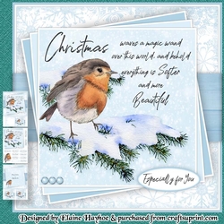Simple Robin Mini Kit