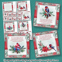 Bullfinch 6inch Quick Card Collection