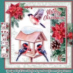 Bullfinch Bird Table Mini Kit