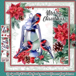 Bullfinch Lantern Mini Kit